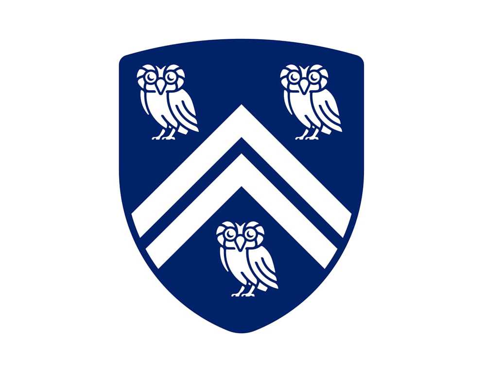 萊斯大學vi設計，品牌形象改造，logo設計