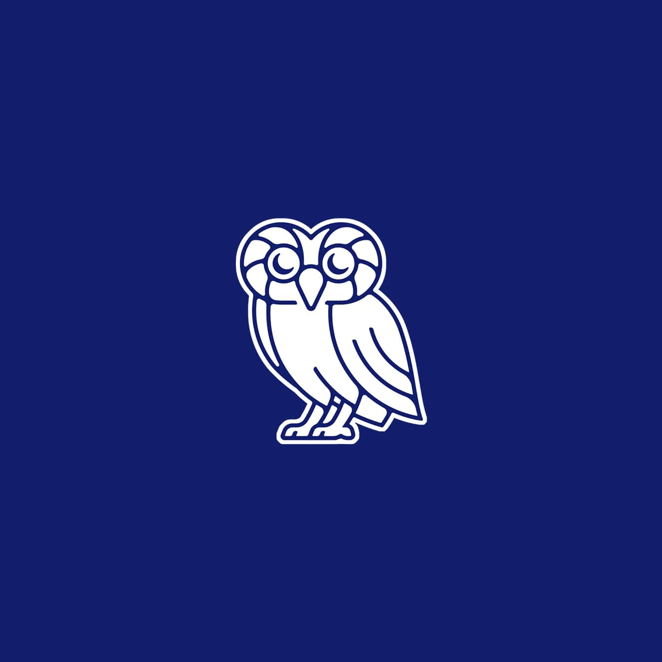 萊斯大學vi設計，品牌形象改造，logo設計